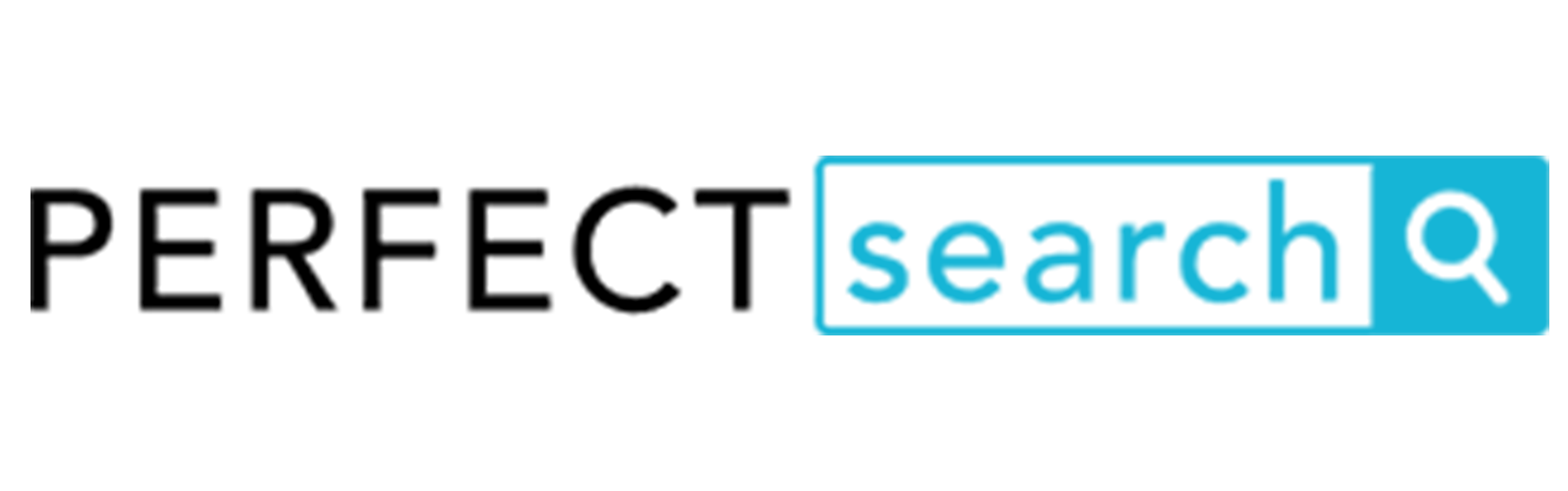 perfect search logo 5